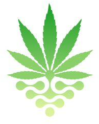 Databud leaf logo mark
